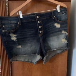 Torrid Button-Fly Shorts